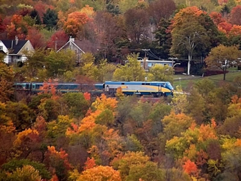 彩り豊かな秋の紅葉の中を走るコリドー号 (C) VIA Rail Canada