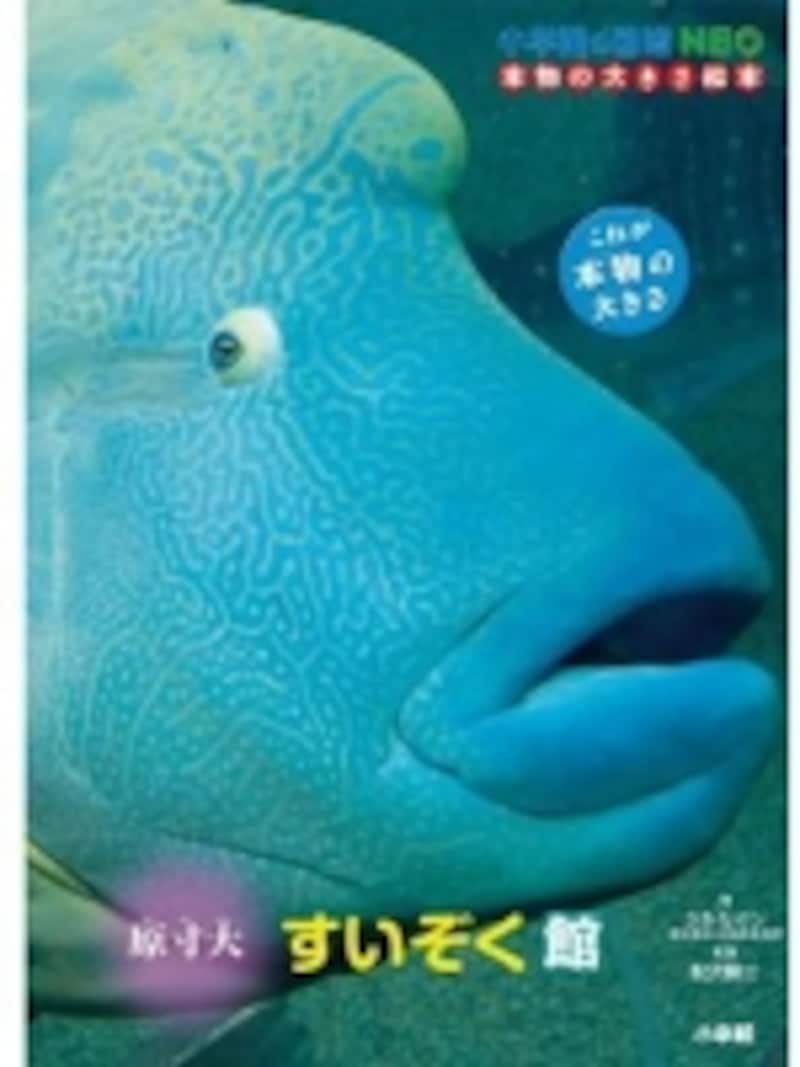 さかなクンが解説を担当している「小学館の図鑑NEO 本物の大きさ絵本 原寸大 すいぞく館(1575円)」