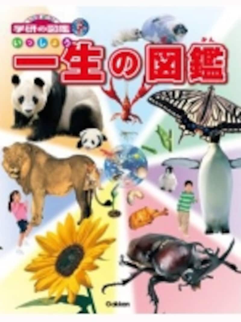 2/3 幼児におすすめの図鑑シリーズ [図鑑] All About