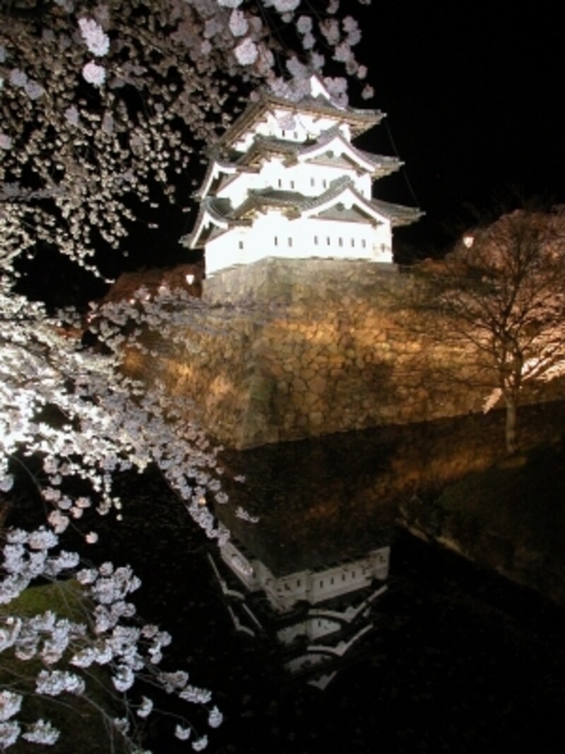 弘前公園夜桜