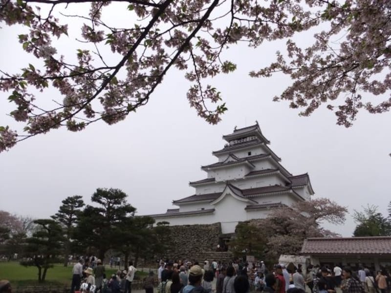 鶴ヶ城・天守閣と桜（2）