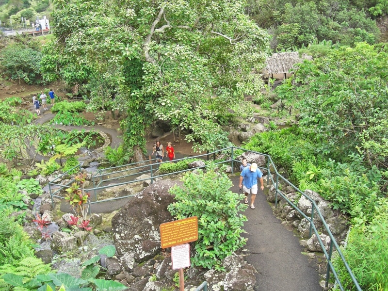 展望台までのトレイルは、お子さんでも登れる短いコース