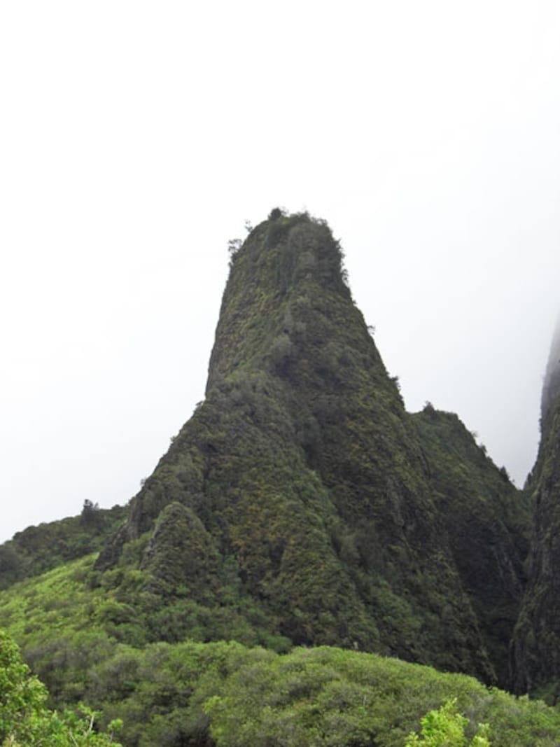 イアオ・ニードルは、半神半人であるマウイが娘を誘惑した青年を岩に変えたものという伝説がある