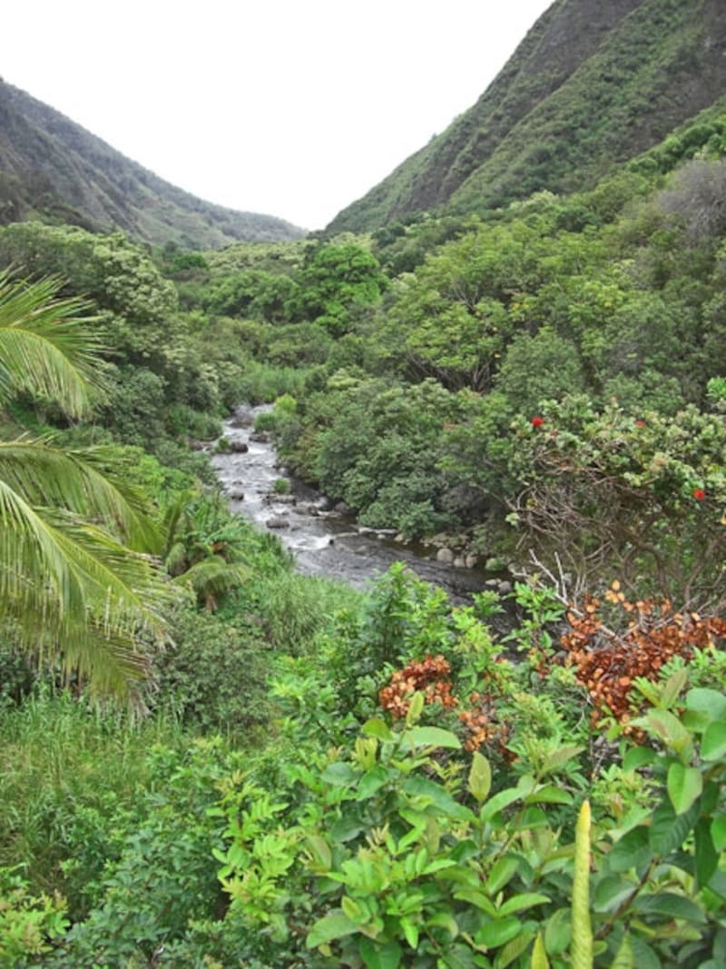 深い緑の渓谷と谷底を流れるイアオ川
