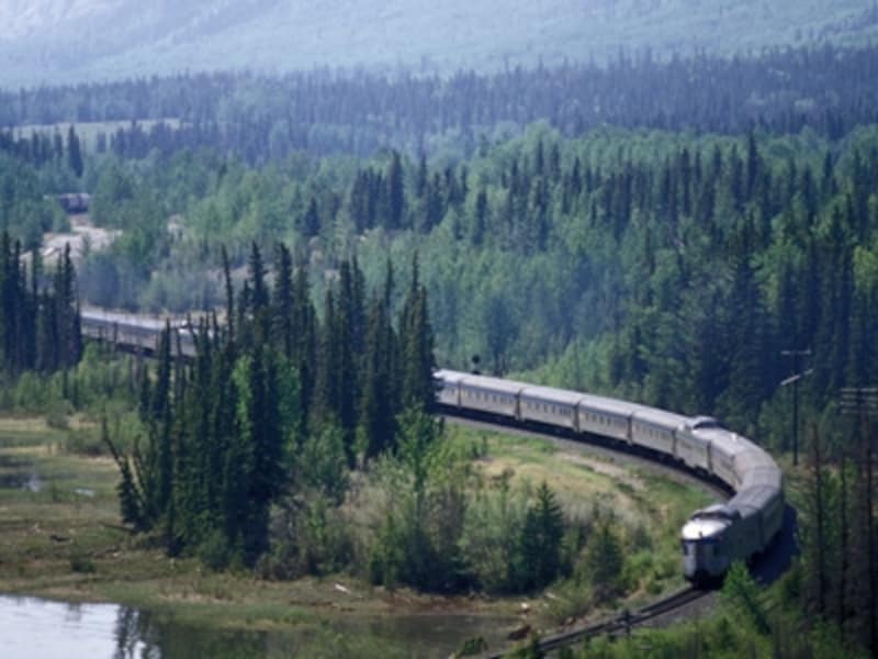 長大編成でカナディアンロッキーの森の中を行くカナディアン号 (C) VIA Rail Canada