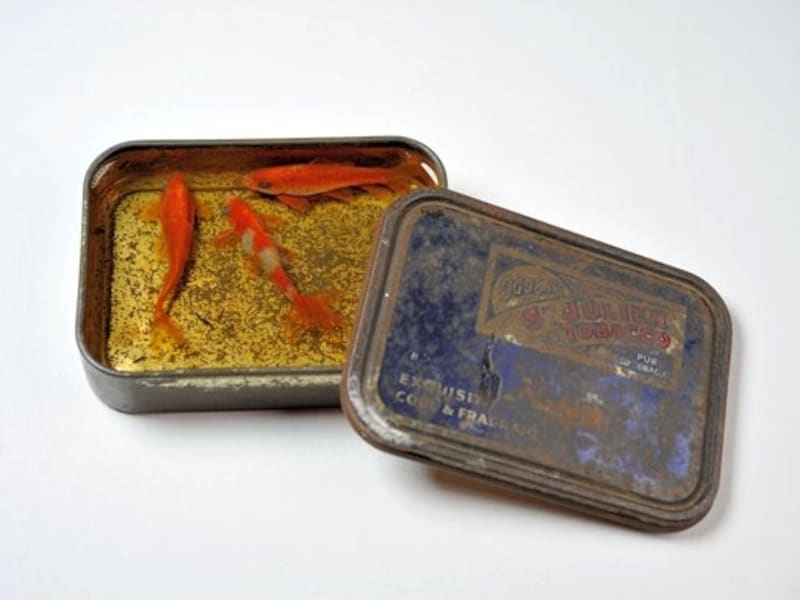 三ツ柑undefinedmitsukan