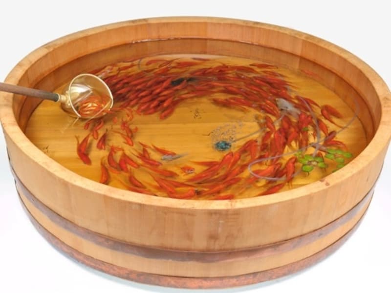 美渦undefinedmuses