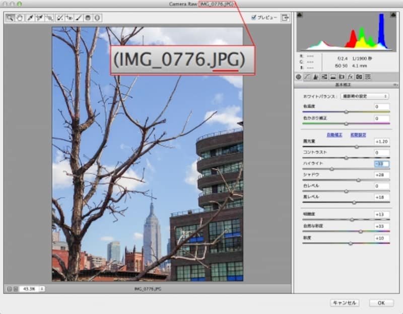 Camera RawでJPEG画像を開いている状態。ほかにもPNG、TIFF、ビデオクリップ、などもCamera Rawで調整可能。