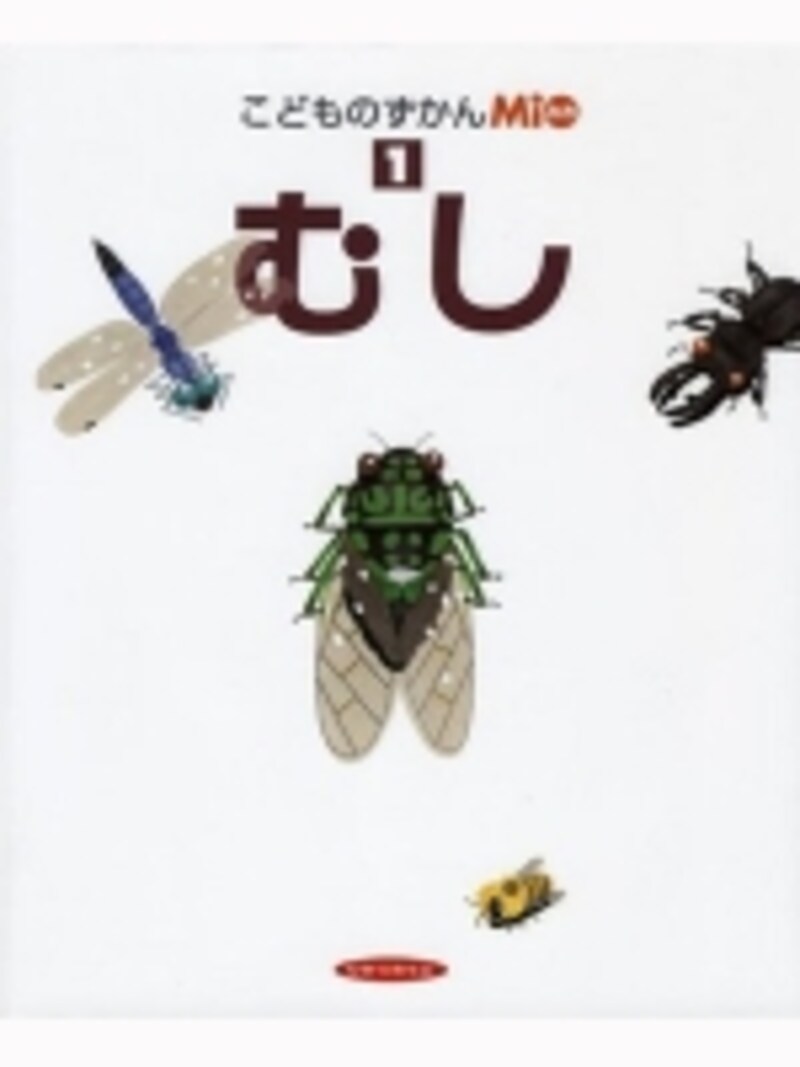 身近な虫のことがワイド頁やクイズ等で楽しく展開されている「むし(800円)」