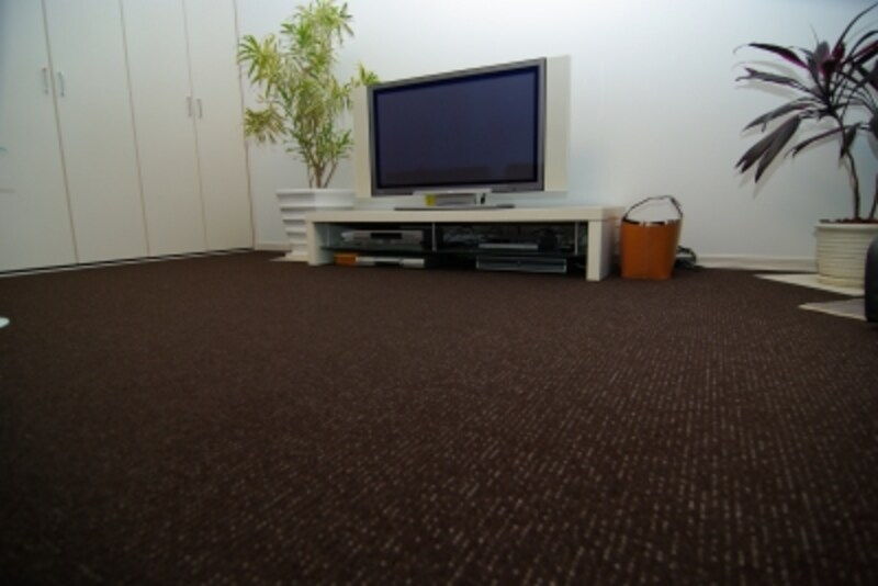 カーペットのリビング