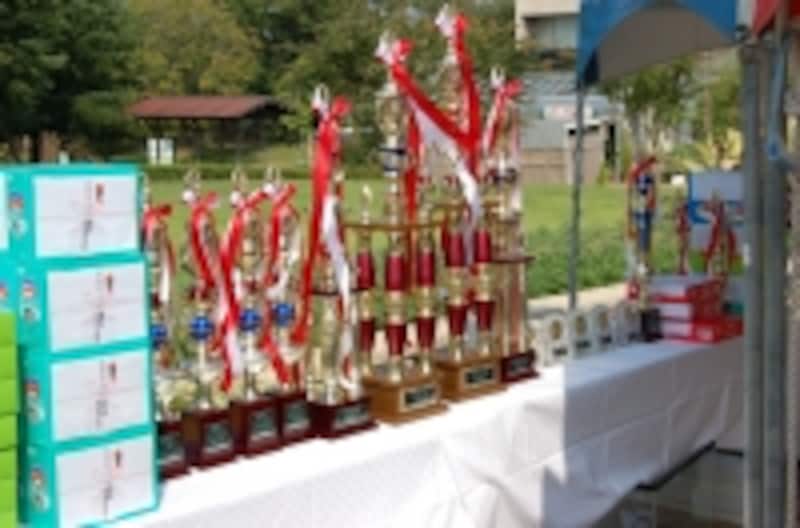 入賞した金魚の飼い主に贈られるトロフィー