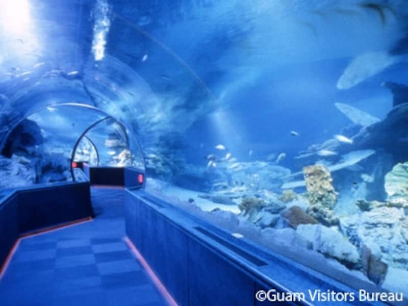 グアムとサイパン