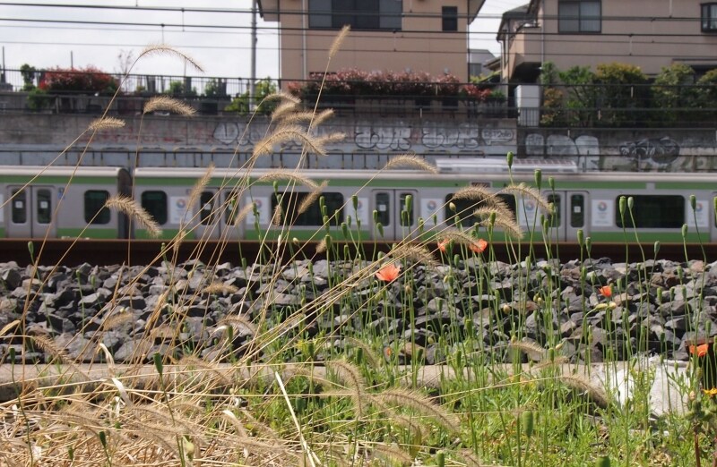 ここからの眺めがなかなかおもしろい