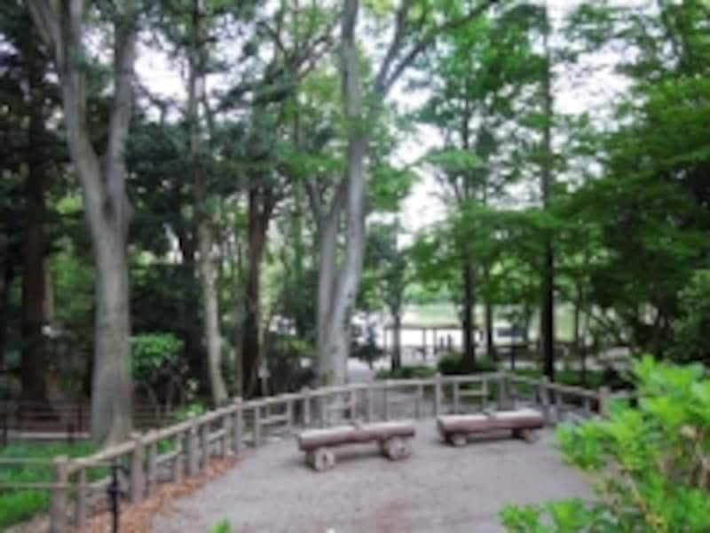 井の頭公園