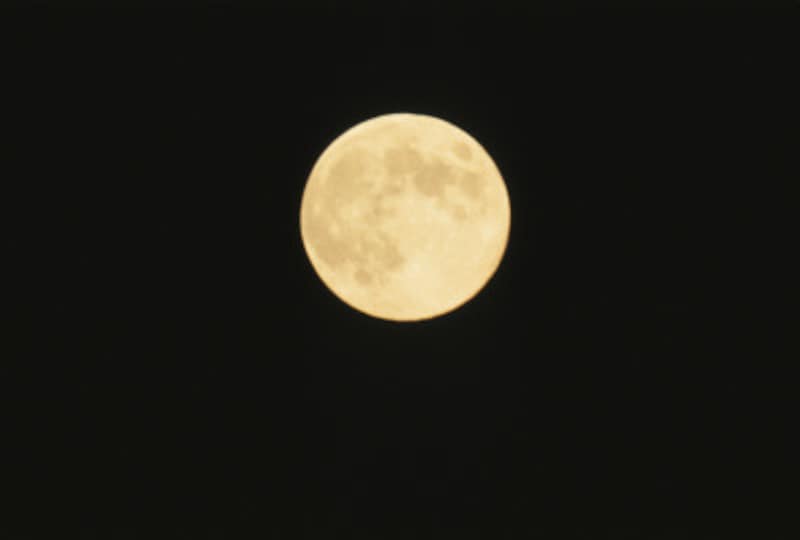 夜だけプチ断食ならとっても手軽!