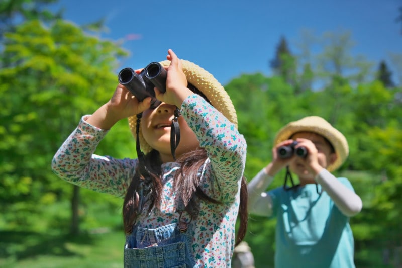 ピッキオの「野鳥の森ネイチャーウォッチング」