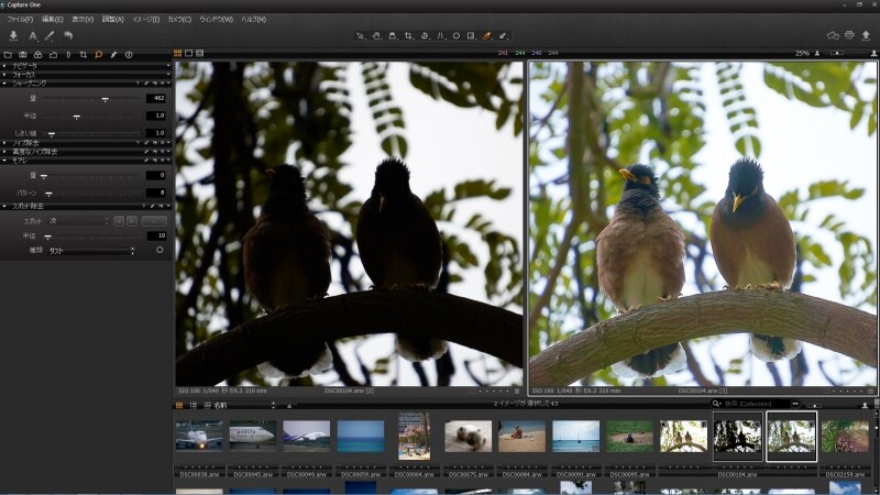 Capture One Pro 7のインターフェイス。ノイズ除去など補正ツールのすべては柔軟で細かな調整により、高品質な写真に仕上げる。