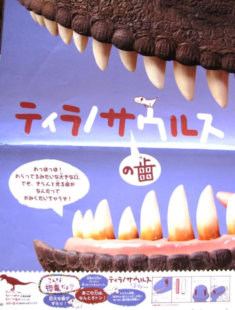 ティラノサウルスの歯の画像