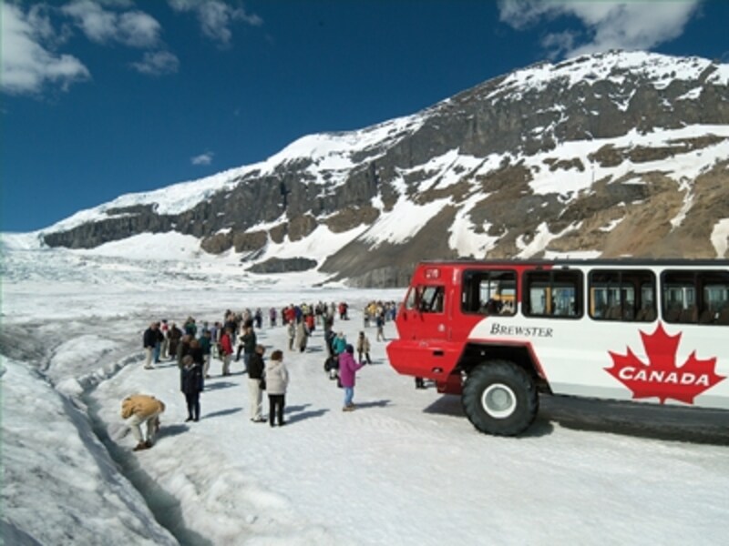 タイヤの直径1.5m。この氷河観光のために開発された特殊な雪上車で氷河観光を！ (C) Brewster
