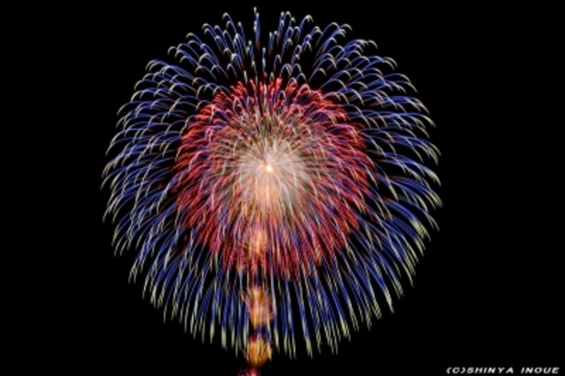 日本のお家芸花火 八重芯変化菊 花火 All About 日本のお家芸花火 八重芯変化菊 花火 All About