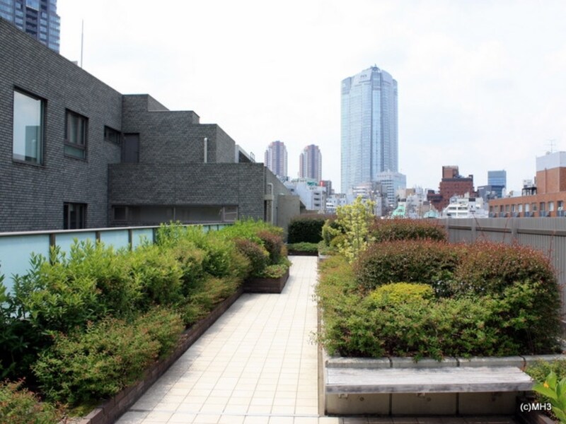 ルーフガーデンから