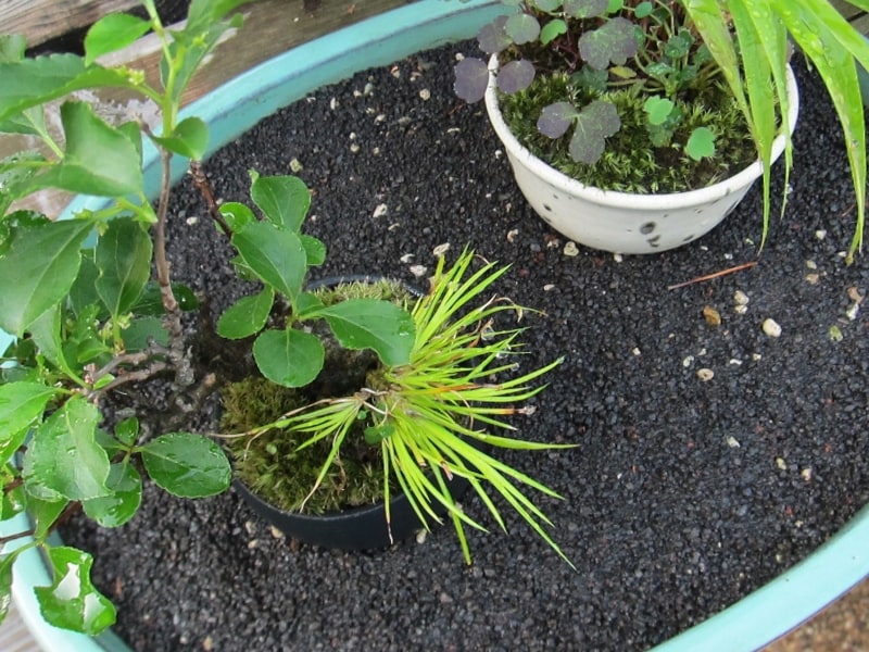 二重鉢にすると保水効果が高まります