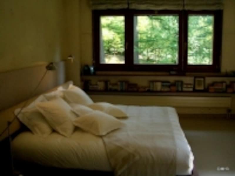 イメージフォト