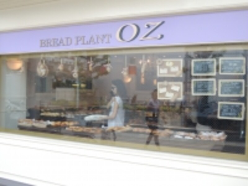 BREAD PLANT OZ
