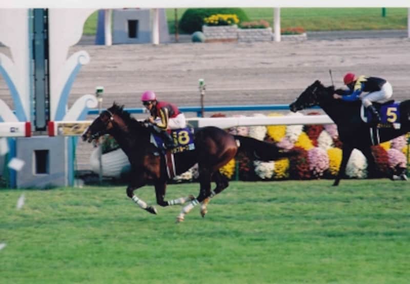 上手さの基準は 知っておきたい騎手と馬の関係 全文 競馬 All About
