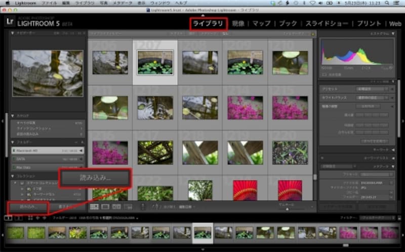 Rawを読み込んで見る 整理する Cg 画像加工 All About