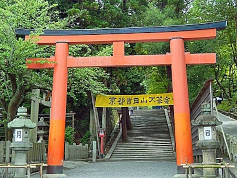 厄除けや縁結びで知られる吉田神社の境内で結ばれるお茶との縁
