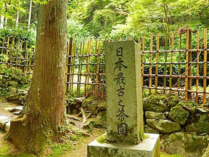 京都栂尾にある、日本最古と称される茶園を示す石標