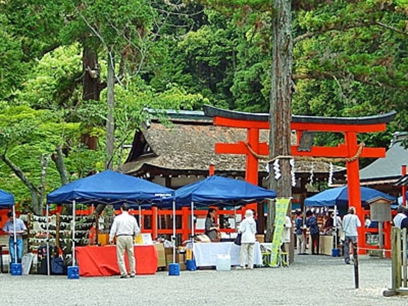 世界の名茶が集まる吉田山の境内