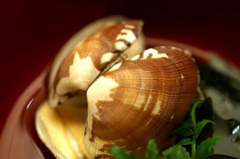 模様がしっかりた国産のあさり