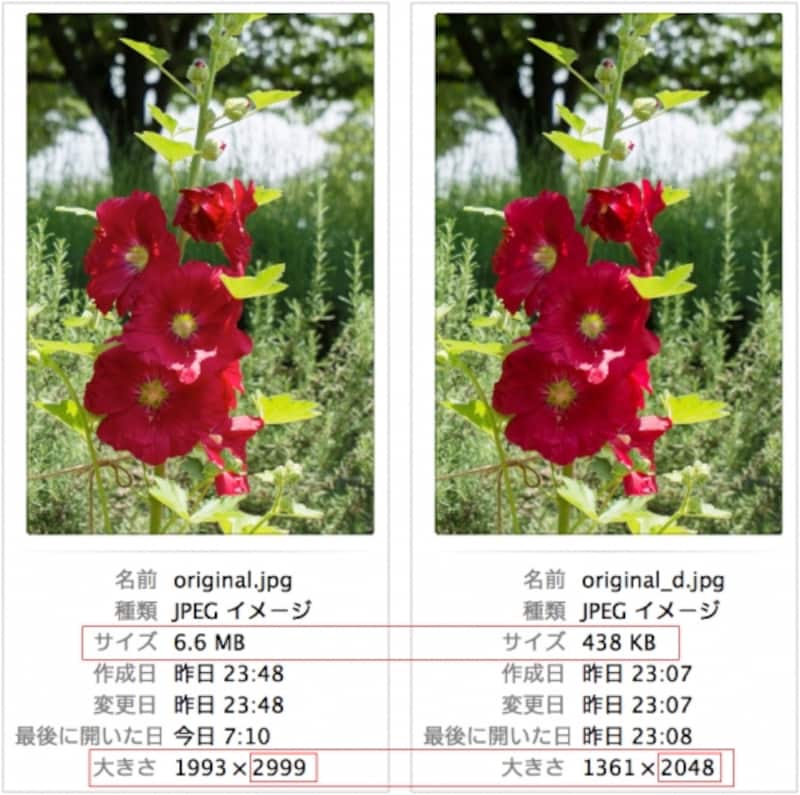 左が元の写真。右はFacebookにアップロードした写真をダウンロードしてサイズを比較した例。ファイルサイズは6.6MBから438KBに、ピクセルサイズは長辺が2999ピクセルから2048ピクセルにそれぞれ縮小されている。