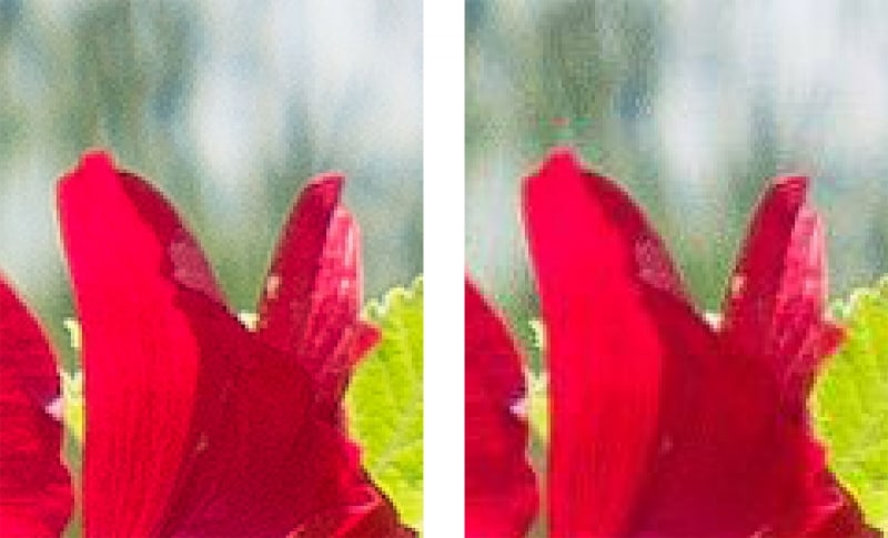左の元の写真に比べてFacebookにアップロードした写真は色がつぶれている。