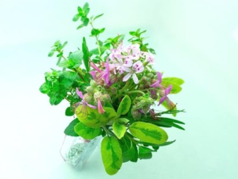タッジーマッジー バラやバーブで作った花束 ガーデニング 園芸 All About タッジーマッジー バラやバーブで作った花束 ガーデニング 園芸 All About
