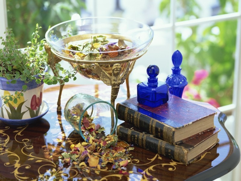 タッジーマッジーの楽しみ方