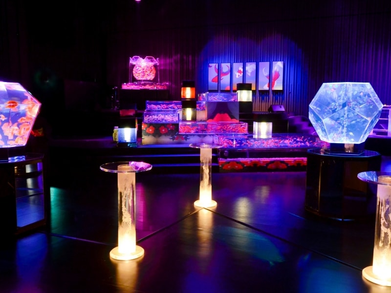 アートアクアリウム展2012の様子