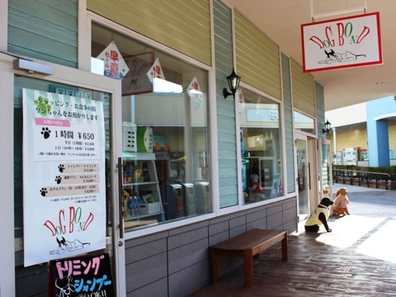 ペット一時預かり