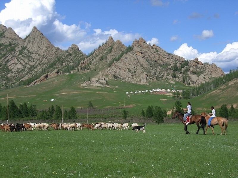 馬は草原の民の生活の足
