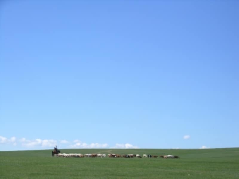 馬に跨った羊飼いが家畜と共に暮らす。幾世紀も変わらぬ草原の景色