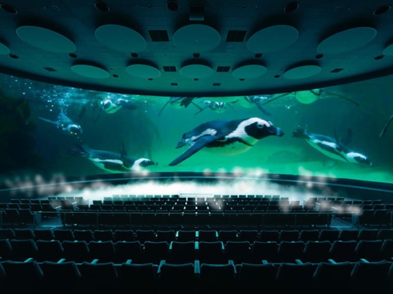 日本最大級のスクリーンを誇る「シアター23.4」