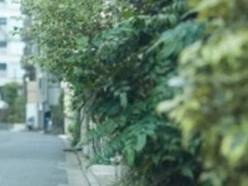 現地周辺の街並み