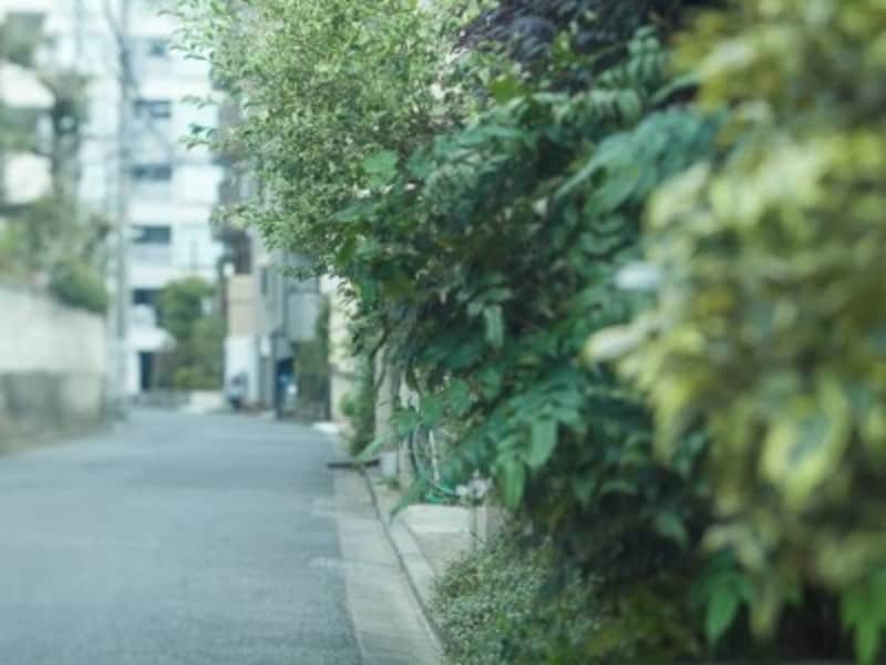 現地周辺の街並み