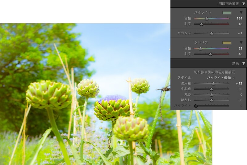 ハイライトとシャドウに着色をして、さらに写真の周りにぼかしの入った白い円形の枠効果を加えるとさらに柔らかく幻想的なイメージに。