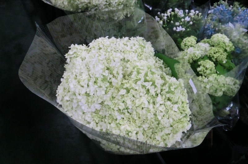 手作りプリザーブドフラワー