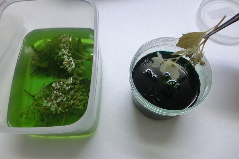 手作りプリザーブドフラワー