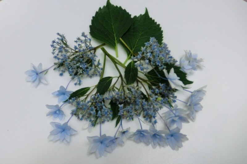 手作りプリザーブドフラワー