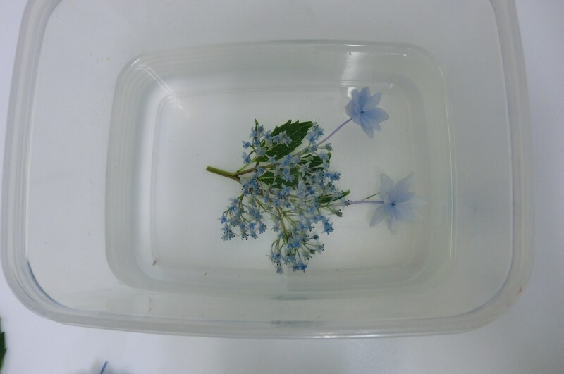 手作りプリザーブドフラワー